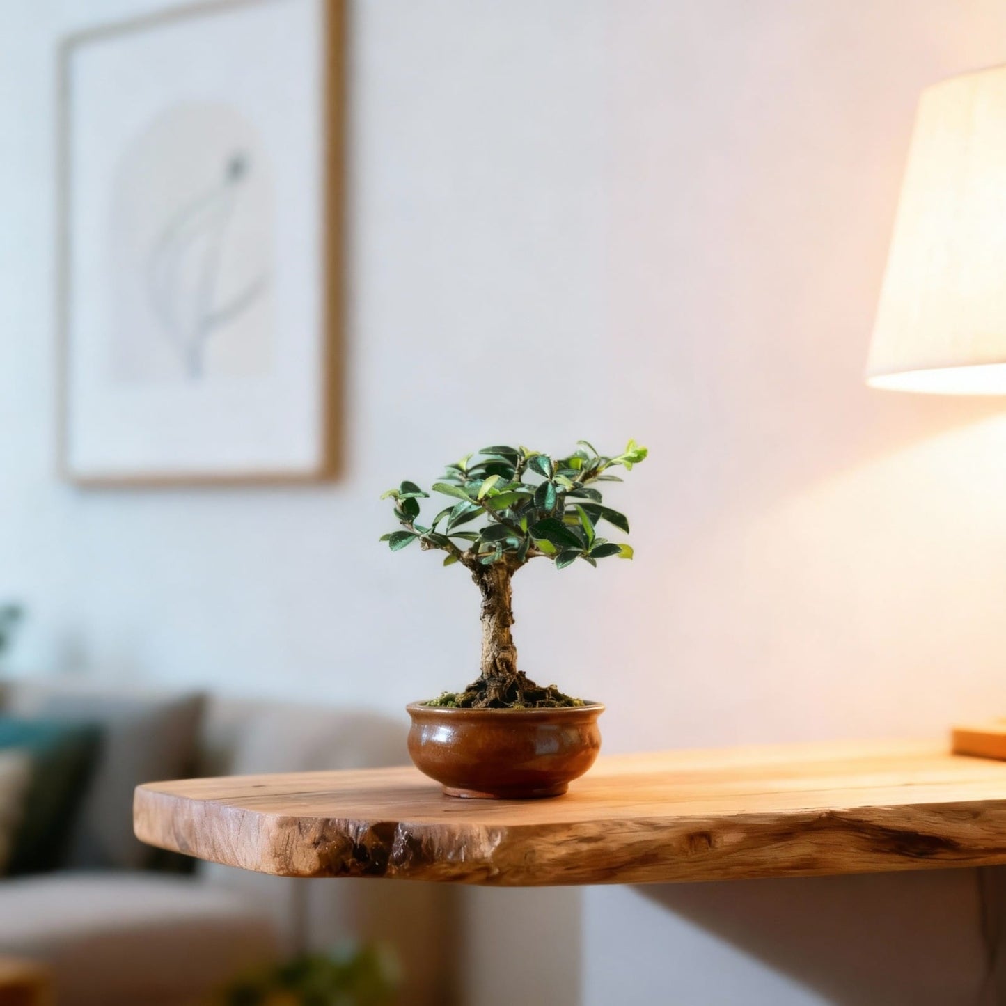 The Ancient Bonsai